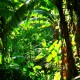 las-terrenas-republica-dominicana-38